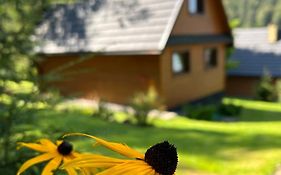 Reset Bieszczady